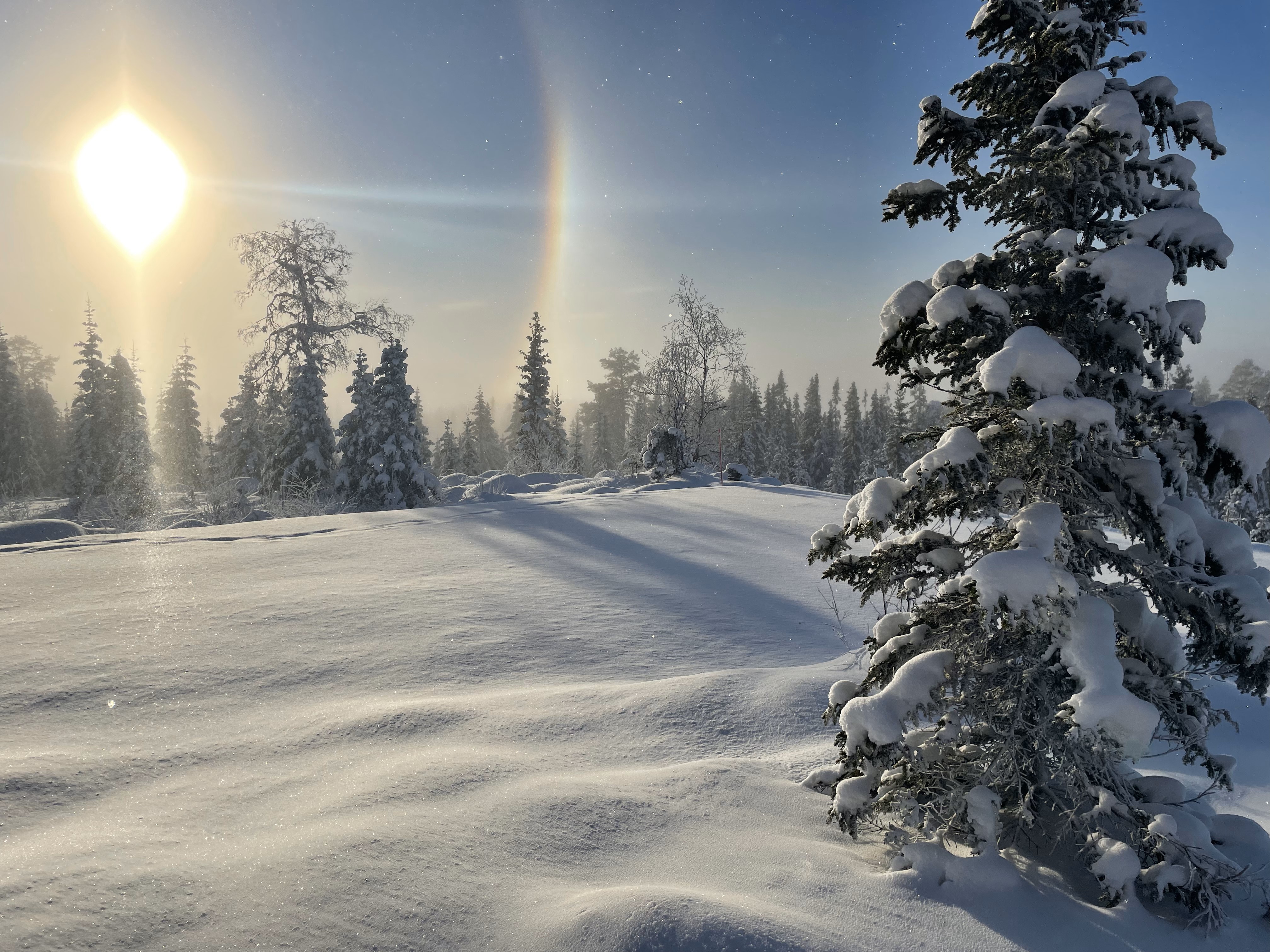 Magisk vinterlandskap med solhalo over Høghaugen